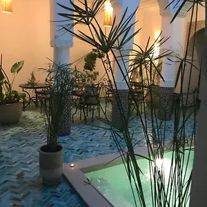 Dollar Des Sables & Marocco