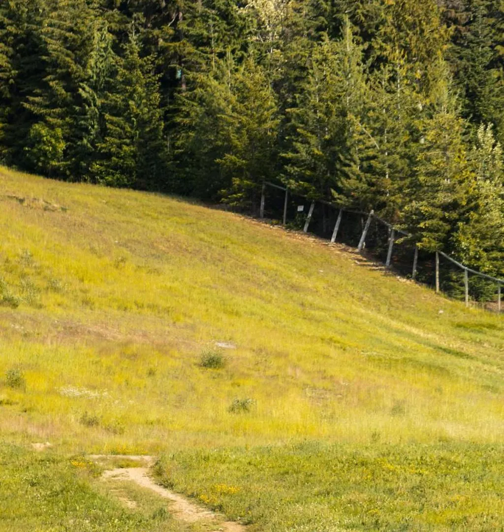 Blackcomb Springs Suites By Clique Whistler Hotel