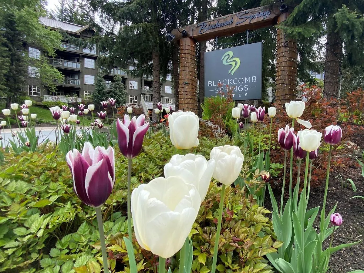 Blackcomb Springs Suites By Clique Whistler